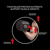 Poudre de Protéine de Lactosérum à Haute Teneur, OEM et Personnalisation du Logo, Complément Protéique Musculaire et Nutritionnel pour l'Immunité
