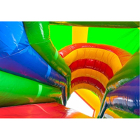 Maison de saut d'aire de jeux commerciale en plein air toboggan sec Combo Kids Bouncer gonflable Bouncy Lion Bounce House