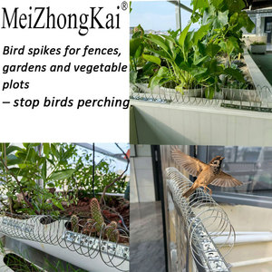304 Stainless Steel <strong>Bird</strong> Spikes - Spiral Design Anti-Perching Set, 18 cm - Product Image 5