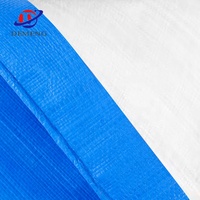 Bâche étang à poissons Sakolin usine bâche en polyéthylène robuste PE bâche poly bâche fabricant en Chine