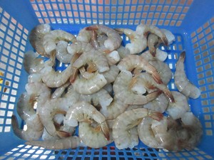 Suministro de China de alta calidad Fujian <span class=keywords><strong>o</strong></span> Shantou Factory Iqf Frozen Vannamei Shrimp - Product Image 6