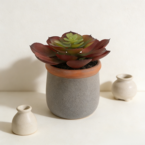 Suculenta Artificial Realista <span class=keywords><strong>de</strong></span> <span class=keywords><strong>Echeveria</strong></span> en Maceta <span class=keywords><strong>de</strong></span> Cerámica Gris <span class=keywords><strong>de</strong></span> 10.5 cm, Bonsái Artificial para Decoración <span class=keywords><strong>de</strong></span> Escritorio <span class=keywords><strong>de</strong></span> Oficina en Casa - Product Image 4