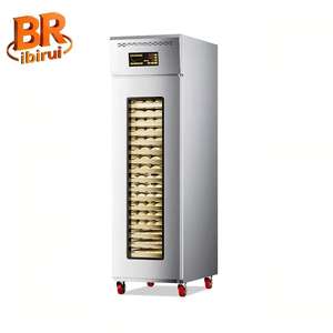 Cámara de Fermentación Refrigerada Comercial Birui de 36 Bandejas con Temporizador Automático para Panadería, Herramienta Mágica para Masa de <span class=keywords><strong>Pan</strong></span> - Product Image 1
