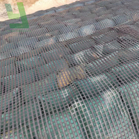 Geomalla de Poliéster PET de Alta Tenacidad para Protección de Taludes Costeros