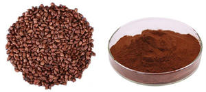 Ekstrak biji anggur standar makanan ekstrak biji anggur bubuk 95% biji anggur OPC 10:1 - Product Image 2