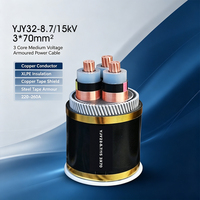 Cable de Alimentación Blindado con Alambre de Acero Fino Aislado con XLPE YJY32 8.7/15kV 3*70mm² para Redes Eléctricas Subterráneas
