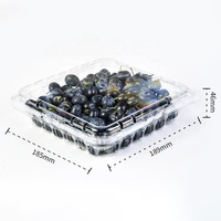RESG didaur ulang 1LB kemasan blueberry buah kotak cangkang persegi plastik rPET hewan peliharaan wadah makanan buah bening