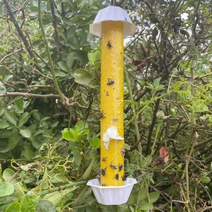 Wholesale Yellow Sticky Trap Board Sticky Fly Glue Catcher <b>Physical</b> Insect Trap for Indoor Outdoor Garden Farm Pest Management - Product Image 6