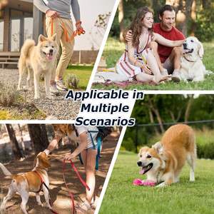 Bouteille d'eau pour chien en acier inoxydable 304SS, bol amovible pour animaux de compagnie, <span class=keywords><strong>thermos</strong></span> isotherme portable pour les voyages en plein air et l'utilisation des animaux de compagnie - Product Image 6