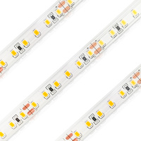 Prix promotionnel usine : Bande LED USB avec carte PCB pour éclairage nocturne SMD2835 120D IP20/65/67/68, découpable, télécommande
