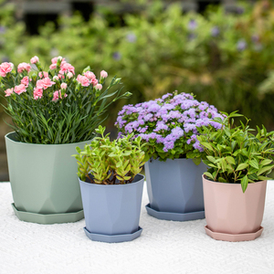 Mini maceta de plástico grueso de colores para el hogar, macetas decorativas para jardín y vivero para plantas <span class=keywords><strong>suculentas</strong></span> - Product Image 4