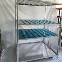 Carro de aluminio danés para invernadero, soporte de exhibición de macetas de 3 niveles, estante ajustable, banco rodante, herramientas OEM para vivero