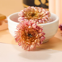 Thé de fleurs de chrysanthème en vrac 100 % pur, naturel, de qualité supérieure, en bouteille et en sachet
