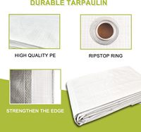 LZBEITEM Couverture de poulailler extérieur en métal, en polyéthylène imperméable, garantie 3 ans, 22 cordons élastiques à billes, grand enclos pour poulets