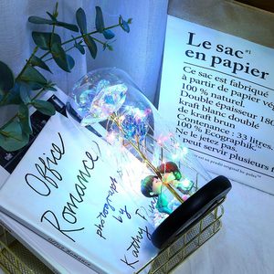 Fleurs décoratives artificielles en plastique, 1 pièce, plante sous dôme de verre, décoration de mariage, noël - Product Image 4