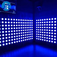 Bouton lumineux LED pour jeu d'activité physique - Contrôlé par PC, étanche IP55 pour parcs sportifs et parcs de trampolines