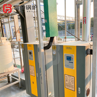 Caldera de Vapor Eléctrica de Circulación Natural Automática Vertical de Baja Presión Future Boiler 9-50kg/h para Lavandería y Tintorería