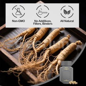 Vente en gros de gélules originales de ginseng nourrissant la rate, supplément au ginseng tonique et tonique pour l'estomac - Product Image 5