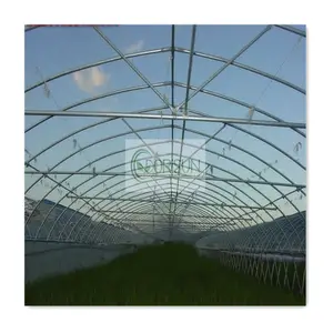 Nursery Commercial Single Span Green House Plastic Film tunnel Invernadero Agriculture Greenhouse for Seeding Cultivation