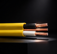 Kabel Romex Berisolasi Non-Logam NM-B 600V Kabel Listrik Tembaga Dalam Ruangan Kabel Daya Hunian Dalam Ruangan Pasokan Pabrik