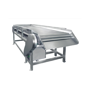 Profesyonel üretim otomatik meyve sebze işleme üretim hattı - Product Image 4