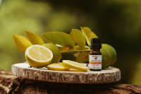 Huile Essentielle de Citriodora 100% Pure, Durée de Conservation de 3 Ans, Vente en Gros d'Origine avec Ingrédients Principaux Citronnella &