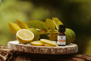 Aceite Esencial de SAKAY Citriodora 100% Puro, 3 Años de Vida Útil, Origen al por Mayor - Product Image 2