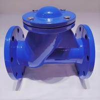 Clapet anti-retour à bride en fonte ductile DN40, raccordement PN16 pour conduites d'eau et d'eaux usées. Vente en gros d'usine, personnalisation disponible.