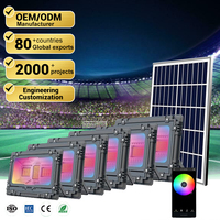 Projecteur de table étanche Rgb avec lecture de musique 60w 100w 200w 300w 500w 800w Panneau solaire Led Projecteur