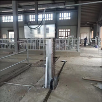 Machine à gratter le fumier de vache entièrement automatique pour l'élevage laitier, équipement d'élimination du fumier pour les fermes d'élevage bovin