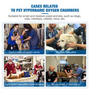 OXYAIR <span class=keywords><strong>Veterinaria</strong></span> HBOT Cámara Gato Perro Camara Hiperbaricas Carcasa Dura 1.5ATA Animal Cámara de Oxígeno Hiperbárico para Clínica <span class=keywords><strong>Veterinaria</strong></span> - Product Image 5