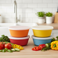 Housse de boîte à lunch pour activités de plein air, lavable en machine, ensemble de bols de repas pour enfants, vente en gros