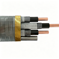 Cable ESP de Media Tensión QYEQ, Conductor de Cobre, Resistente a la Corrosión por Petróleo y Gas, Cable para Pozos, Clasificación IP65, 5kV