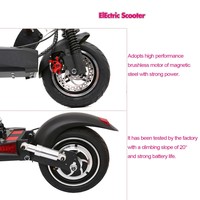 Nueva Versión de Scooter Eléctrico de 48v 800w, Scooter Eléctrico Plegable Rápido en Oferta, Scooter Eléctrico al por Mayor a Precio Accesible