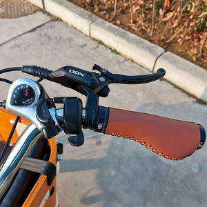 Bicicleta Eléctrica Urbana con Estándares de la UE, Bicicleta Eléctrica de Reparto, Bicicleta Eléctrica para Mascotas, Bicicleta Eléctrica para Camping, <span class=keywords><strong>Triciclo</strong></span> Familiar de Carga de 3 Ruedas, 4 Asientos, Asiento para Bebé - Product Image 5