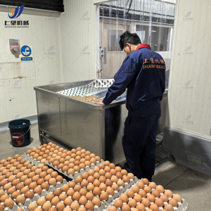 Máy làm bột trứng công nghiệp thiết bị chất lỏng điện phá vỡ và lòng đỏ trứng tách chất lỏng Máy Bột Trứng - Product Image 3