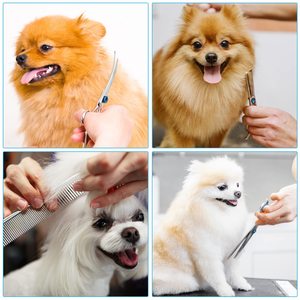 Kit de tijeras de aseo para perros con puntas redondas de seguridad Liren Professional 6 en 1 Tijeras de aseo para perros - Product Image 6