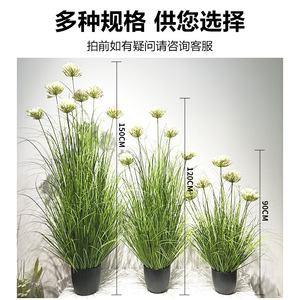 ต้นอะกาแพนธัสประดิษฐ์ ขนาด 100 ซม. 200 ซม. ตกแต่งภายในและภายนอกอาคารได้อย่างสมจริง กระถางดอกไม้ตกแต่งบ้าน - Product Image 4