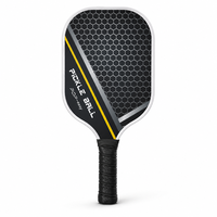 Leichtes Fiberglas-Pickleball-Schläger-Set mit Eigenem Logo, 4 Bällen und Tasche, Direktvertrieb OEM-Schläger-Kit für Private Label