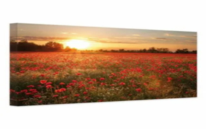 Quadro Unico e Semplice con Stampa su Tela Argento Effetto Pietra, con Cornice Interna - Product Image 3