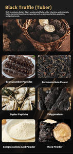 Cápsulas de Suplemento <span class=keywords><strong>Natural</strong></span> para Aumentar la Testosterona Masculina de Marca Privada, Suplementos Energéticos Herbales de Alta Calidad para Adultos - Product Image 5