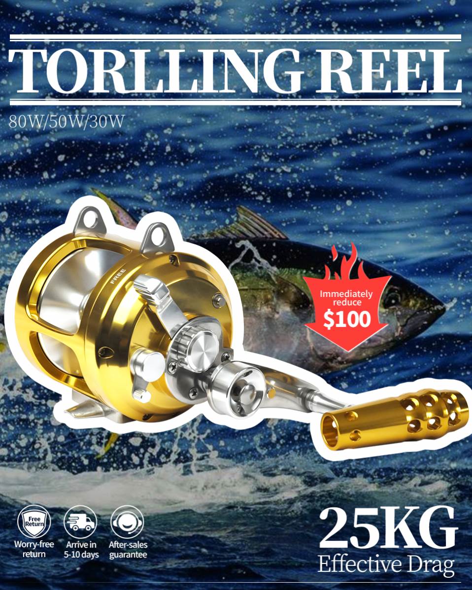 automatic fishing rod holders Automatic fish Rod Holder Review 2020  Does it work