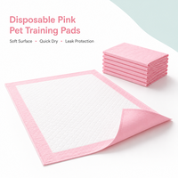 Tapis de propreté jetables pour chiens, super absorbants, anti-fuites, séchage rapide, vente en gros OEM, directement de l'usine