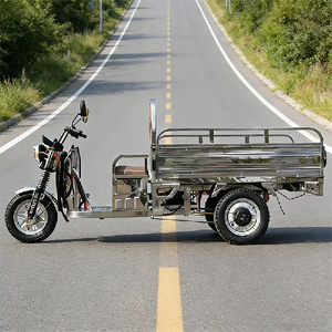 Triciclo de Acero Inoxidable para Transporte de Mercancías, Uso Agrícola y Pesquero, Scooter de Carga Doméstico - Product Image 3