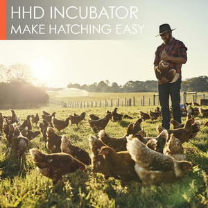 HHD 112개 계란 부화기 완전 자동 태양열 계란 부화기 스리랑카 - Product Image 6