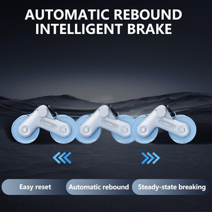 Tùy chỉnh màu sắc Nhà Phòng Tập Thể Dục Gia Đình ABS bánh xe phòng tập thể dục phục hồi cơ bắp yên tĩnh bụng bài tập con lăn - Product Image 5