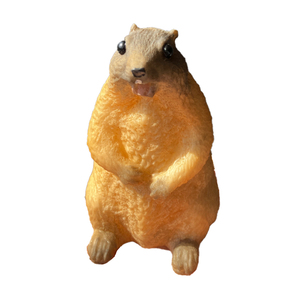 Jouet de simulation de marmotte pour enfants, modèle animalier, jouet cognitif, nouveauté, anti-stress, animal mignon à presser, cadeau pour fille - Product Image 6