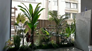 Bán Cao Lớn Giáng Sinh Trang Trí Chậu Cây Nhật Bản Maple Ficus Bonsai Treeartifical Cây Dừa Giá - Product Image 6