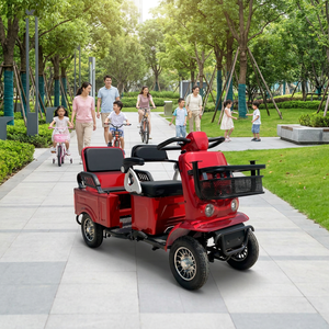 Vehículo Eléctrico Compacto S8 de 4 Ruedas para el Hogar, 2 Pasajeros, Motor sin Escobillas de 60V, Asiento Abatible, Espacio de Carga para Compras y Viajes Cortos - Product Image 1