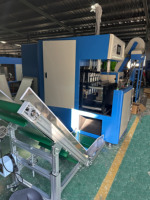 Máquina Sopladora de Botellas PET Semiautomática de 4 Cavidades, Controlada por PLC, de Alta Producción, Nueva, Suministro de China